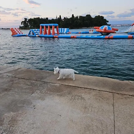 Feriehus Plavo Bijeli Svijet Preko