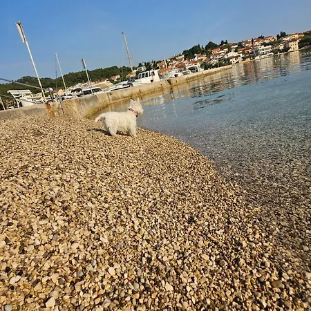 Plavo Bijeli Svijet *