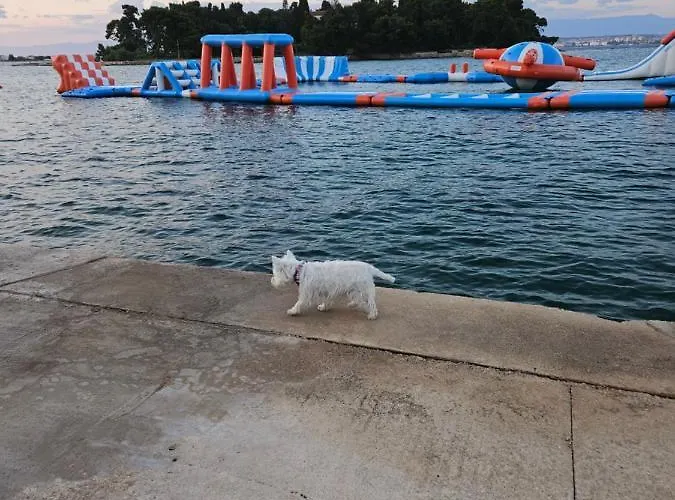 Σπίτι διακοπών Plavo Bijeli Svijet Preko