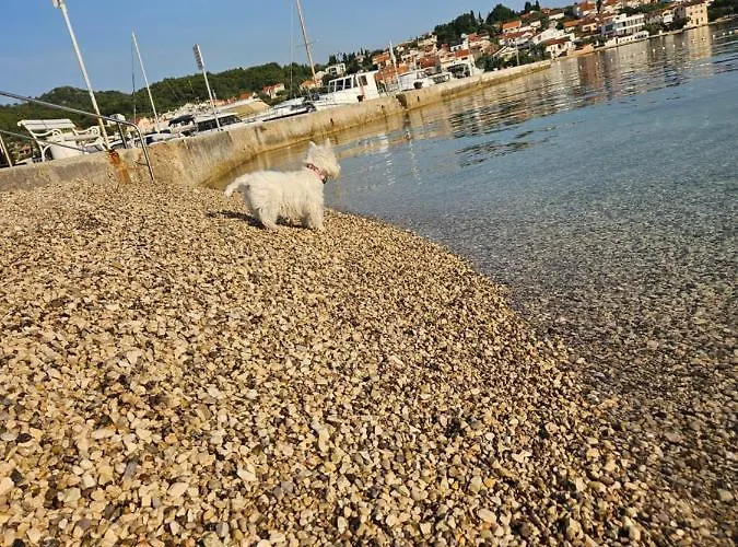 Plavo Bijeli Svijet *