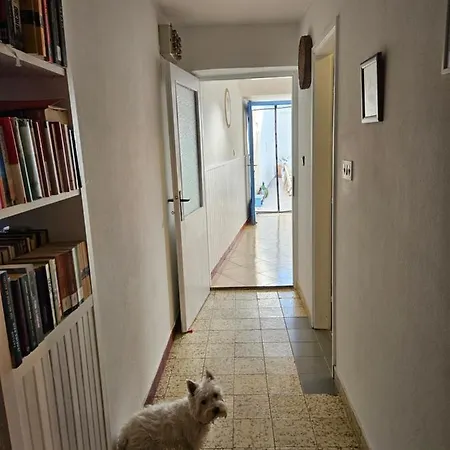 Tatil Evi Plavo Bijeli Svijet *